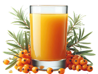 Over 1 Million+ Users Across 15 Nations