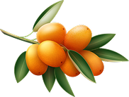 Powerful Superfood Formula